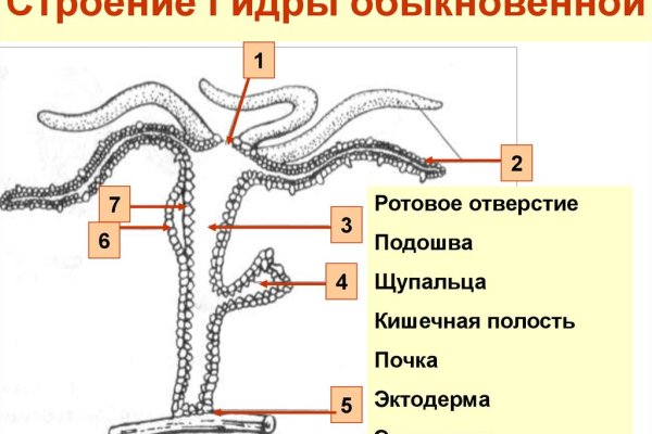 Кракен krakken15at com