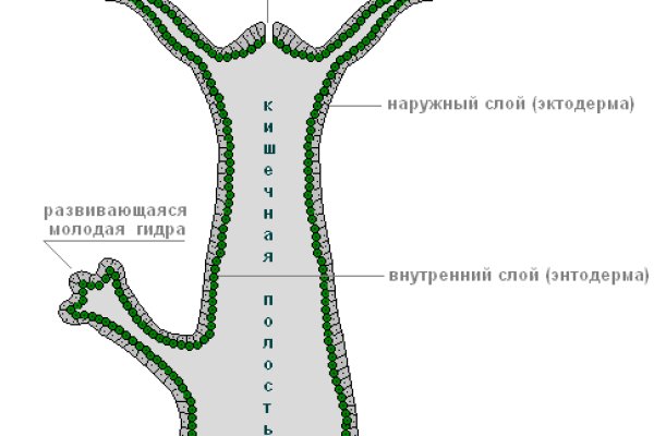 Кракен сайт 18at