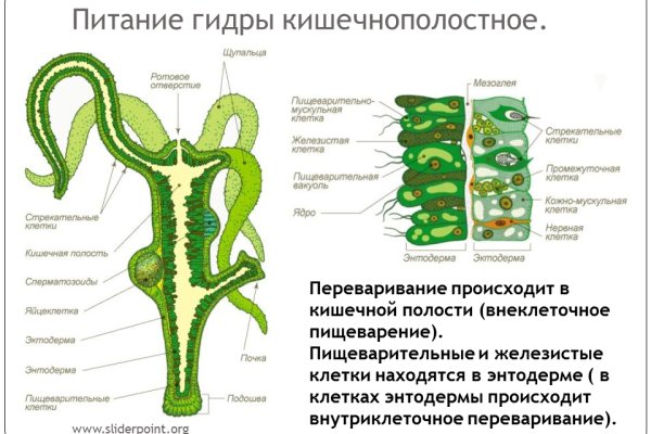 Что продают в кракен маркете